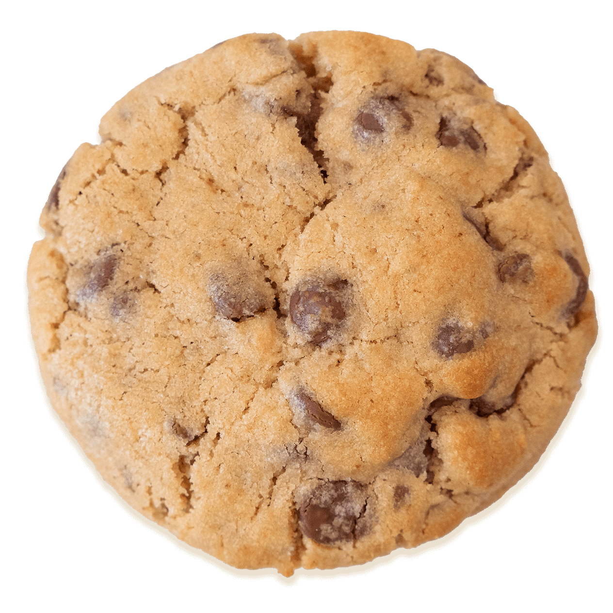 Classic Choc Chip chunky cookie, a customer favorite from Butterfield Cookies, Sydney's best cookie bakery.