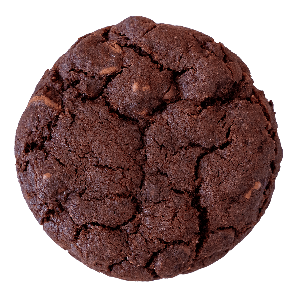 Double Choc chunky cookie, a rich treat from Butterfield Cookies, Sydney's top-rated cookie bakery.